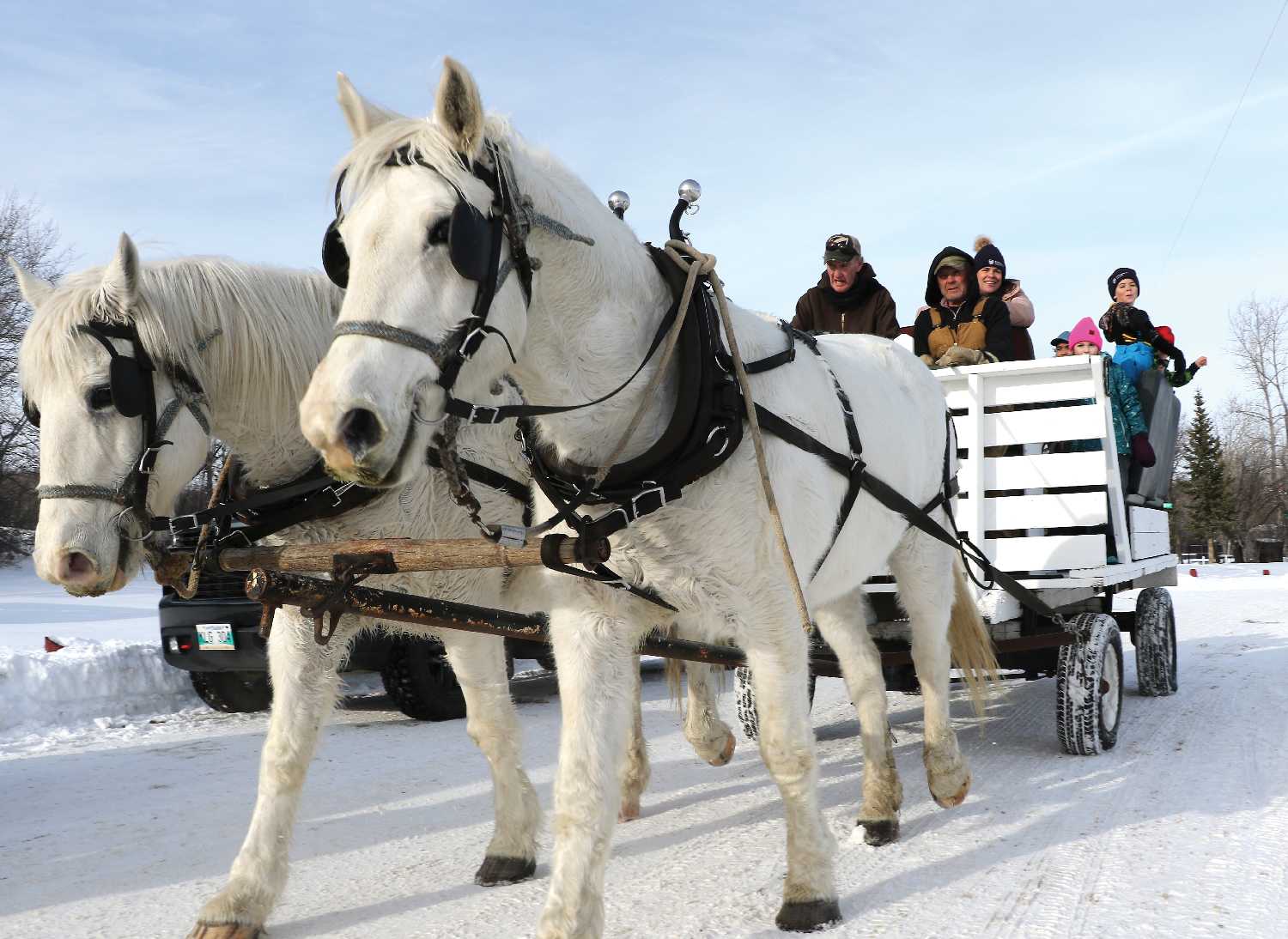 Sleigh rides at the last Winter Wonderland held at Moosomin Regional Park.